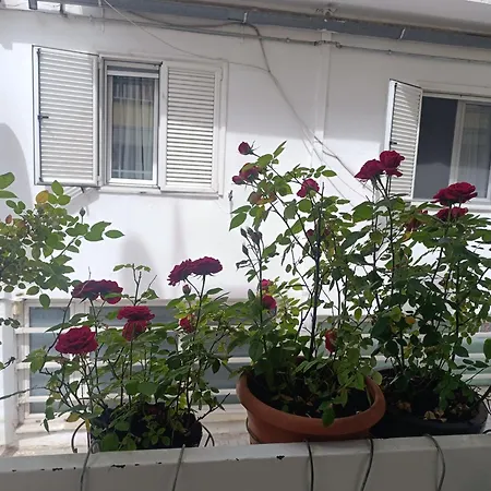 Lovley Near Train Station * Thessaloniki
